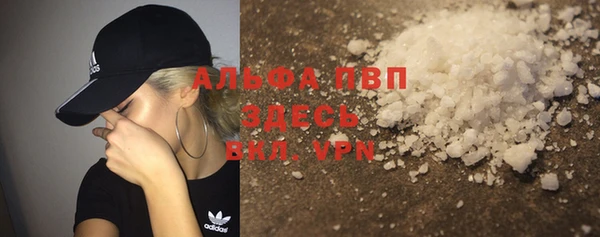 мяу мяу мука Инта