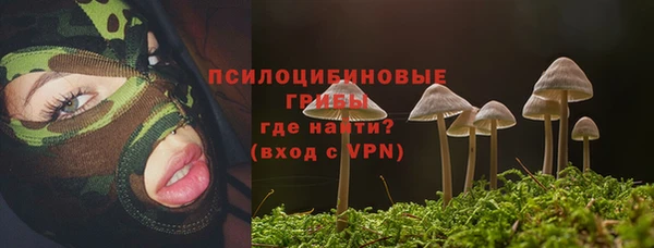 стаф Балахна