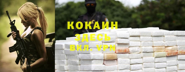 стаф Балахна