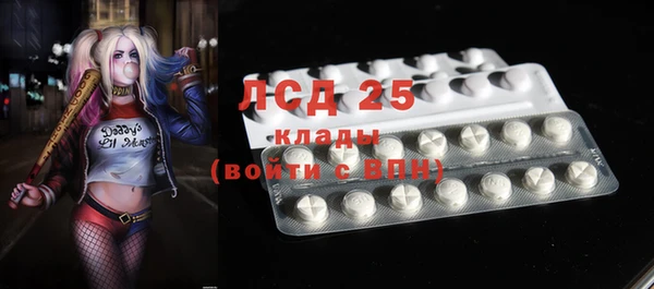 стаф Балахна
