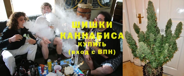 стаф Балахна